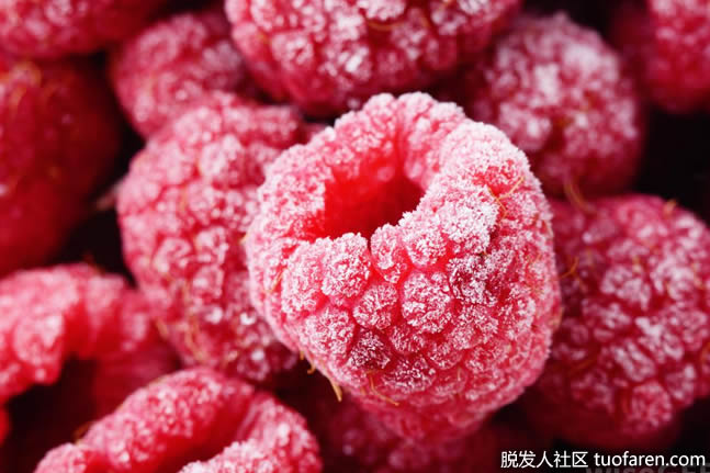 紅色和黑色的覆盆子可以用來製作覆盆子籽油 紅色和黑色的覆盆子可以用來製作覆盆子籽油