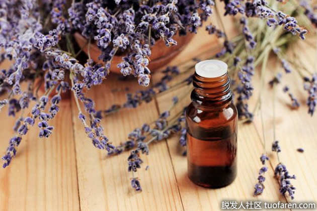 薰衣草精油 薰衣草精油