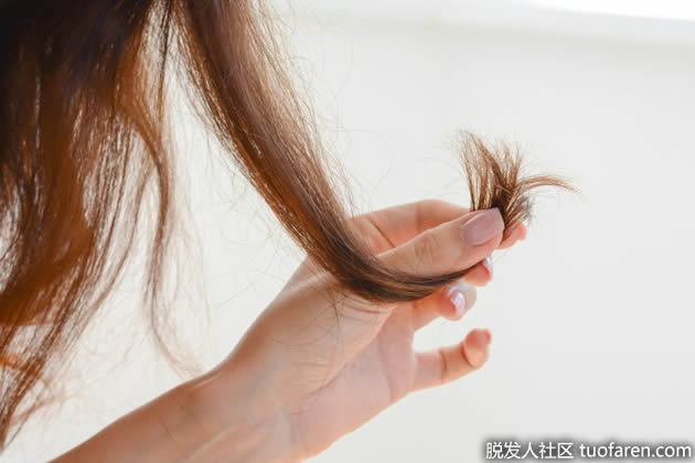 椰子油修復分叉 椰子油修復分叉