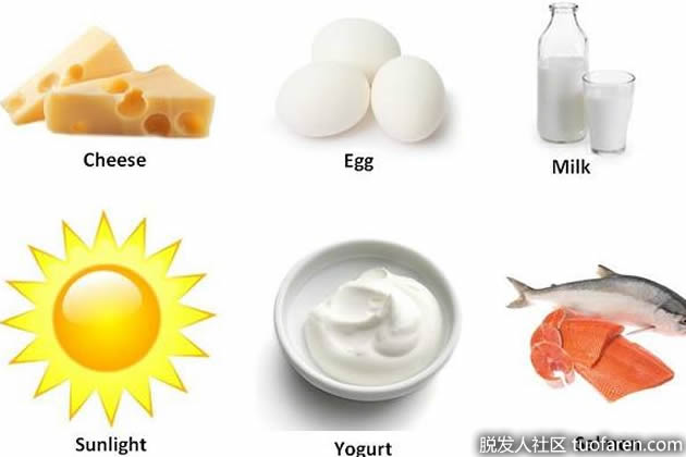 富含維生素D的食物 富含維生素D的食物