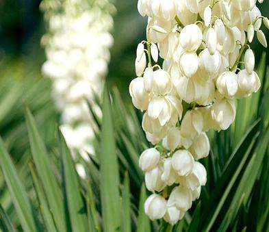 1607582251165067968.jpg 圖片3.jpg