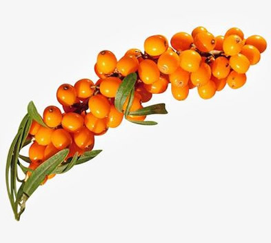 1607582262905093520.jpg 圖片4.jpg