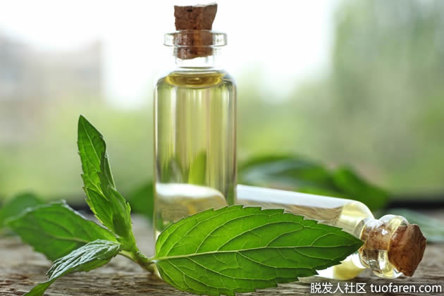 薄荷精油 薄荷精油