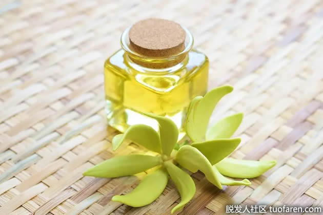 依蘭精油 依蘭精油