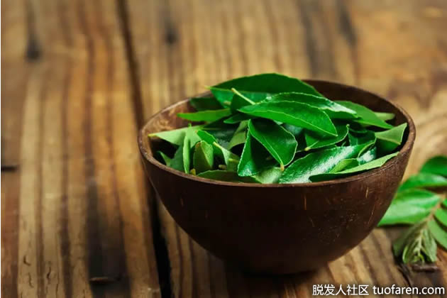 咖喱葉髮膜 咖喱葉髮膜