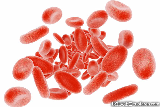 鐵補充劑 鐵補充劑