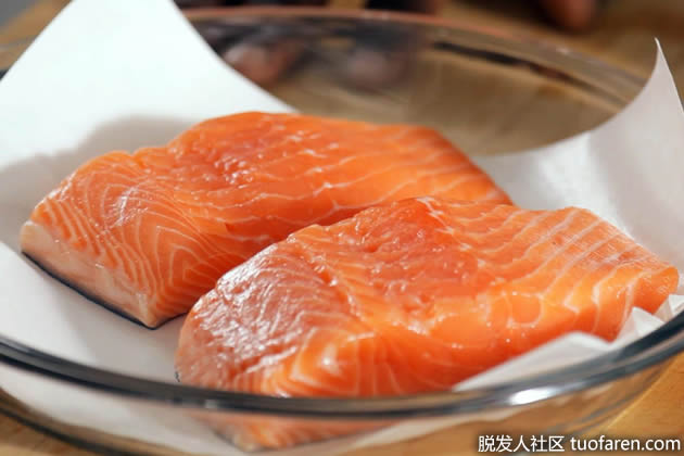 富含脂肪的魚類 富含脂肪的魚類