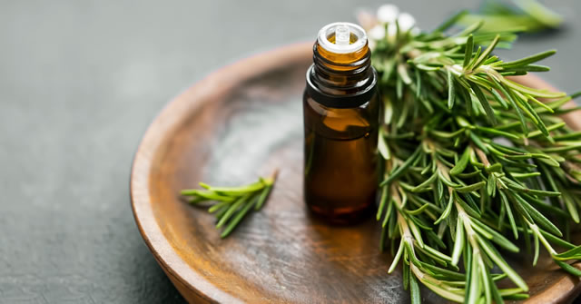 迷迭香精油 迷迭香精油