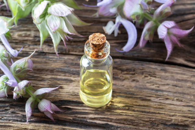 鼠尾草精油 鼠尾草精油