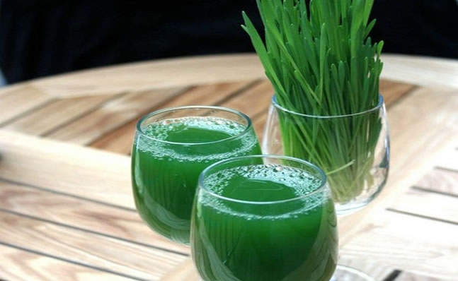 大麥草汁