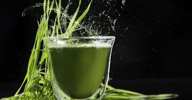 大麥草汁 大麥草汁