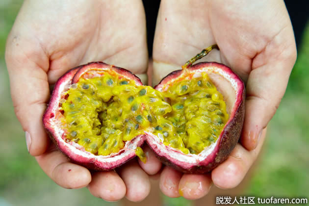 百香果籽 百香果籽