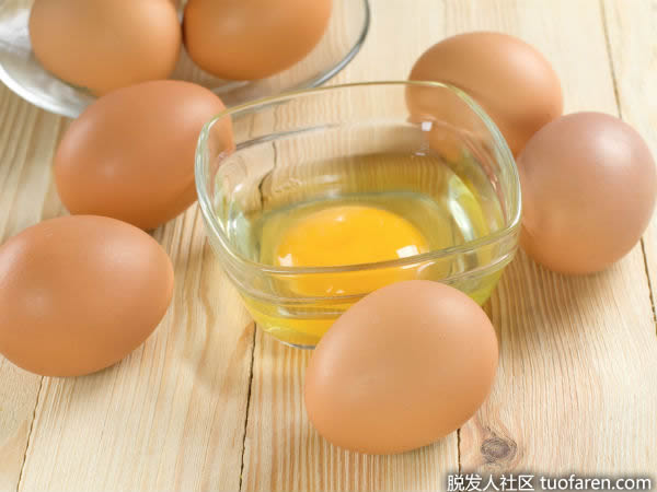雞蛋黃 雞蛋黃
