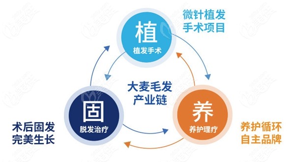 大麥微針植髮的植養固體系