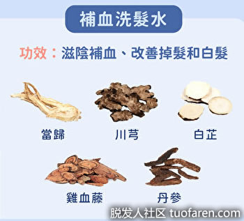 補血洗髮水 補血洗髮水