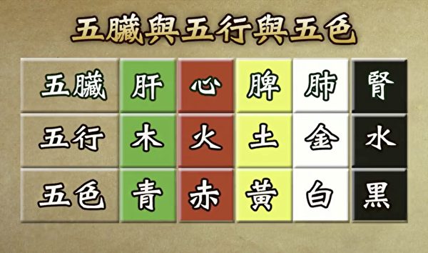 五藏、五行、五色對照表。黑色食物補腎，有助於改善掉髮。