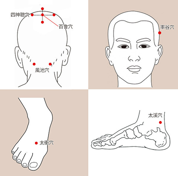養髮、改善白髮的頭部和足部穴道。