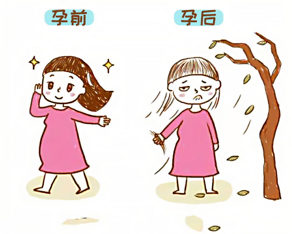 為什麼生完小孩會掉髮?產後掉髮與月經的關係