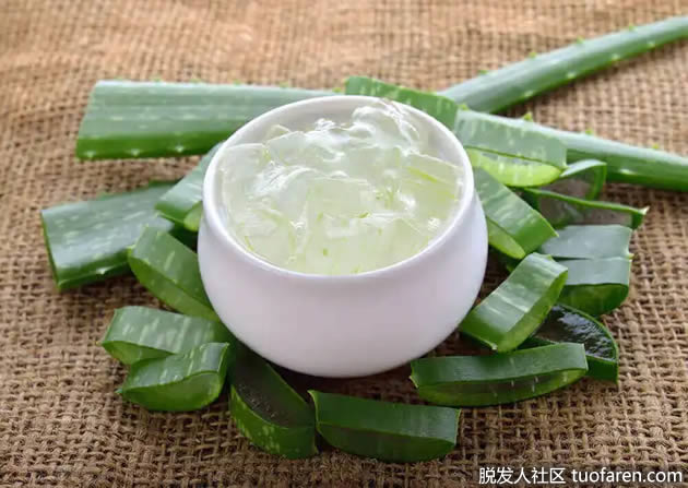 蘆薈治療脱髮 蘆薈治療脱髮