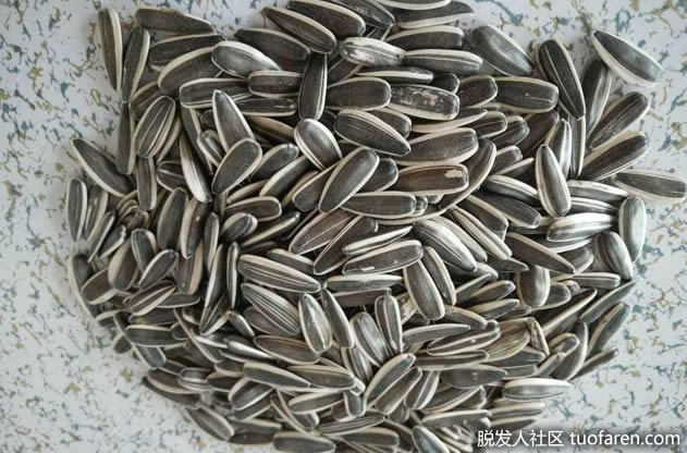 葵花籽 葵花籽