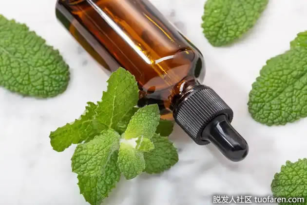 薄荷油是最流行的去頭屑油。