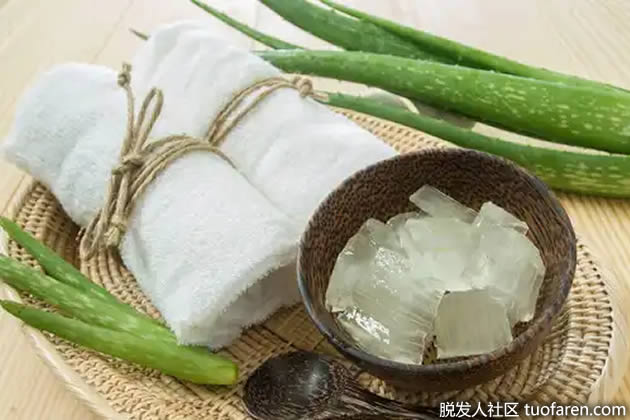 蘆薈,橄欖油髮膜 蘆薈,橄欖油髮膜