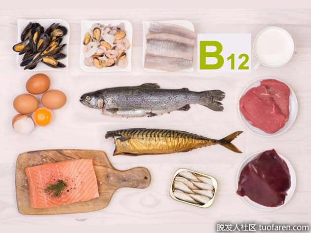 含維生素 B12 的食物 含維生素 B12 的食物