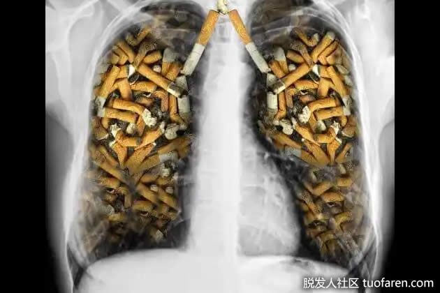 西紅柿除煙草煙霧的影響