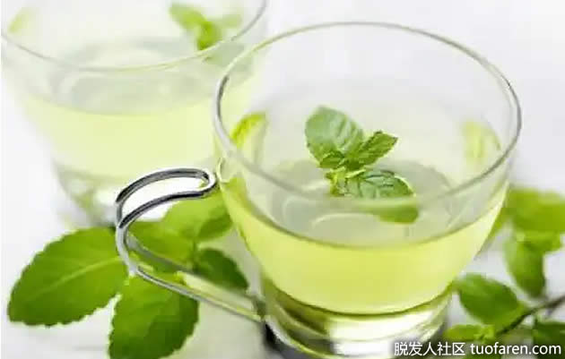 薄荷茶 薄荷茶