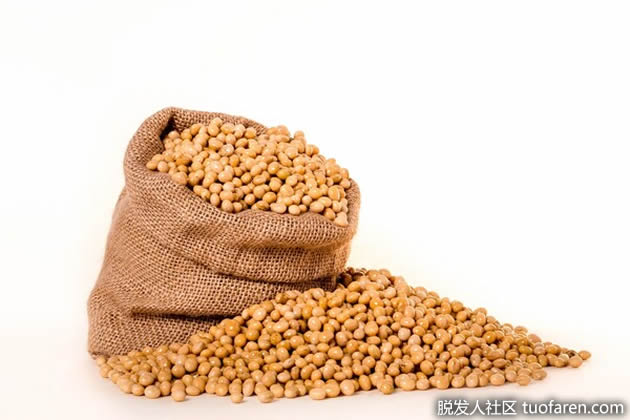 大豆 大豆
