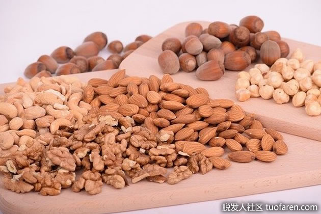 堅果和種子 堅果和種子