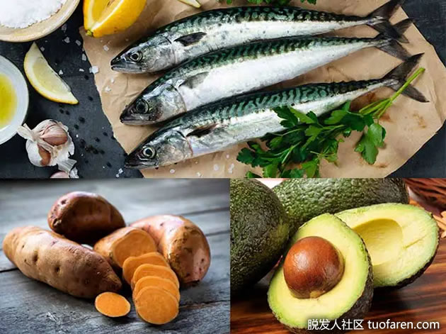 8種對頭髮生長的食物和堅果 8種對頭髮生長的食物和堅果