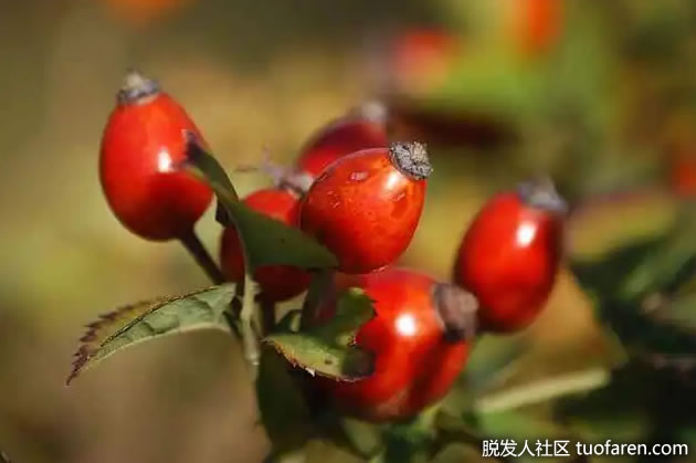 1657514380501065854.jpg 2.jpg