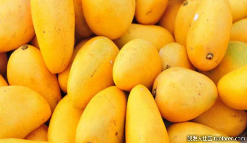 芒果：芒果是一個美味的番茄紅素來源，它有助於減少睾酮轉化為DHT。它們富含維生素C，有助於修復受損的頭皮，還有維生素E，可以治療皮膚。芒果最好生吃。