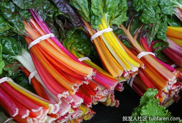 瑞士甜菜：這種健康的綠色有助於阻止DHA，並保持健康的毛囊，因為它含有許多強大的抗氧化劑，對抗頭皮炎症。瑞士甜菜還含有一種名為丁香酸的強效類黃酮，可以降低血糖和體內炎症，從而有助於防止脱髮。瑞士甜菜中有一種叫做甜菜鹼的植物營養素，它也可以幫助身體調節荷爾蒙活動，排除多餘的二氫睾酮。