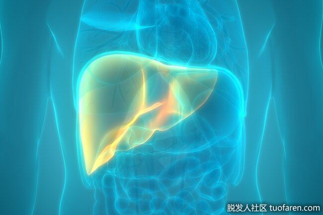 注意汞：確保標籤上沒有含有汞的成分。汞會損害你的肝臟和神經。當你塗抹含汞產品時，與你親近的人也會患上嚴重的健康問題。