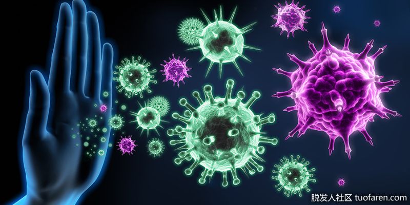 增強免疫力。甘菊茶是一種極好的營養強化劑。它能對抗有害細菌，並具有增強身體系統的靈活性。甘菊茶也是一種微妙的鬆弛劑，作為一種有效的天然鎮靜劑，從而減少壓力。