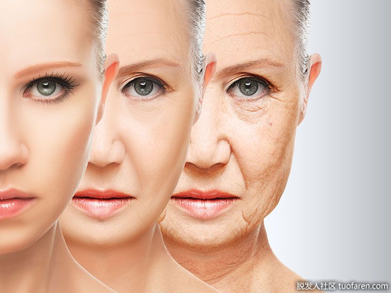 抗衰老。甘菊茶含有抗氧化劑，保護皮膚，加速細胞和組織再生，毛孔變得非常緊緻，從而減緩衰老過程。