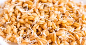 吃18種抑制DHT的食物來阻止脱髮