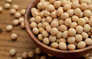 20種阻止脱髮的最佳食物